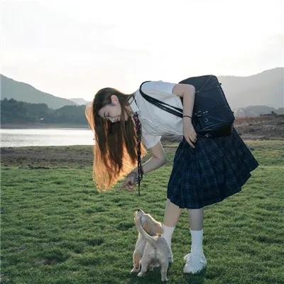 双姝泪